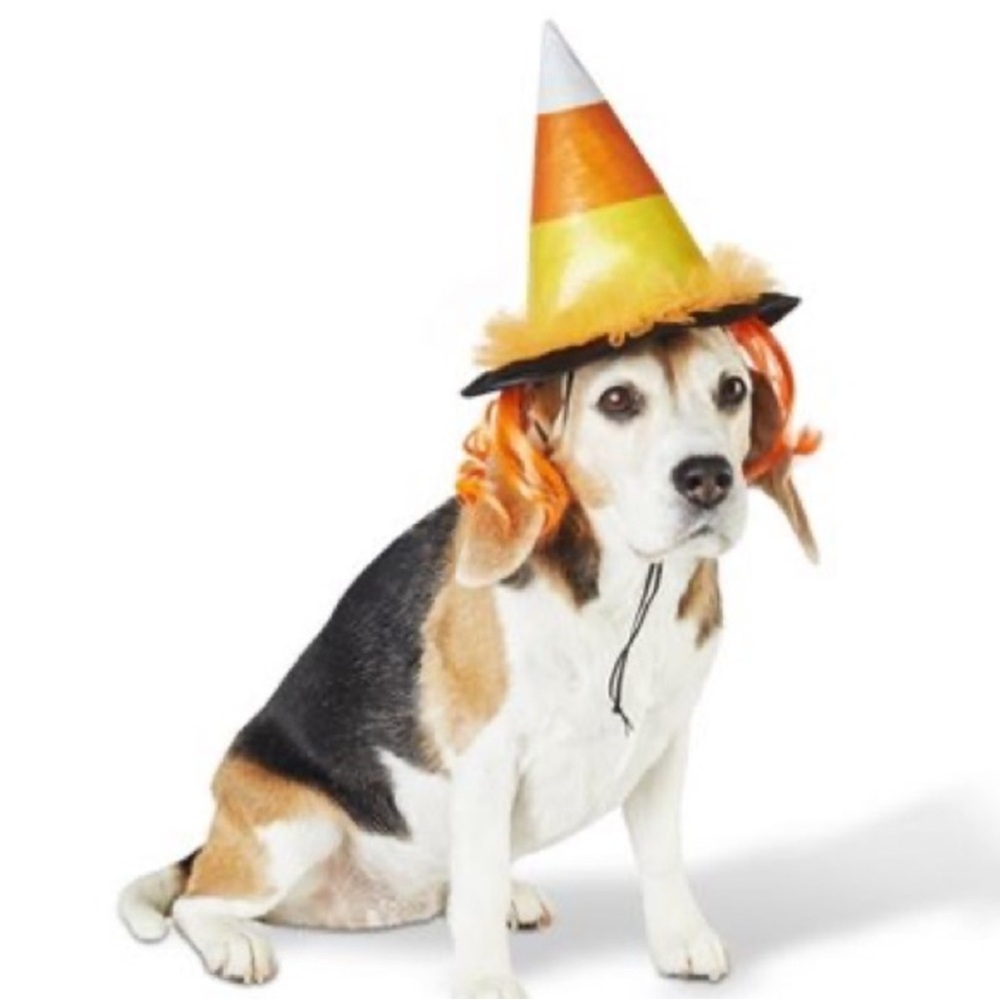 Hyde & EEK! Boutique Candy Corn Witch Hat Dog or Cat Halloween Costume